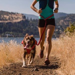 Ruffwear Runner Bungee Dog Leash